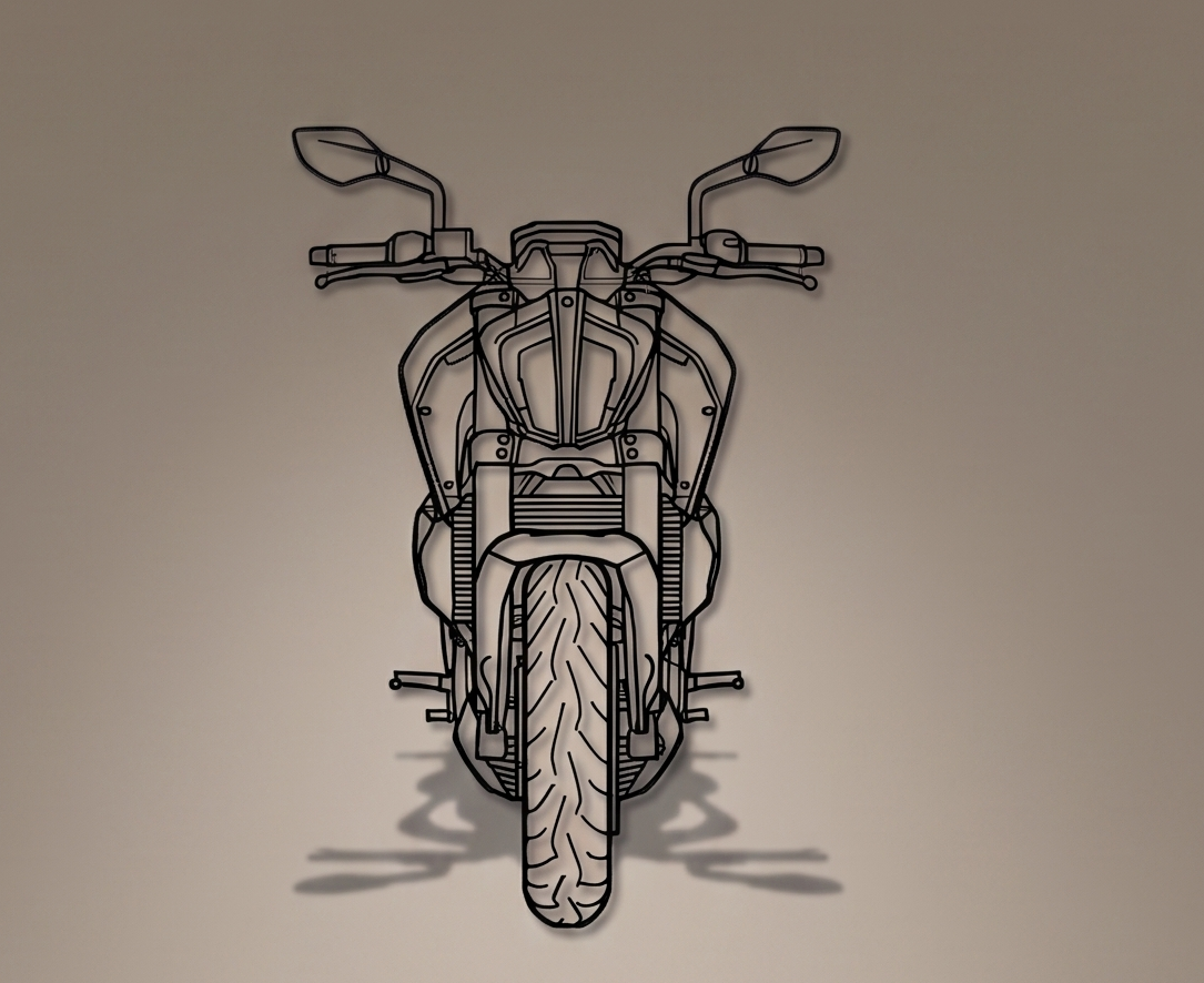 Duke 250 FRONT VIEW