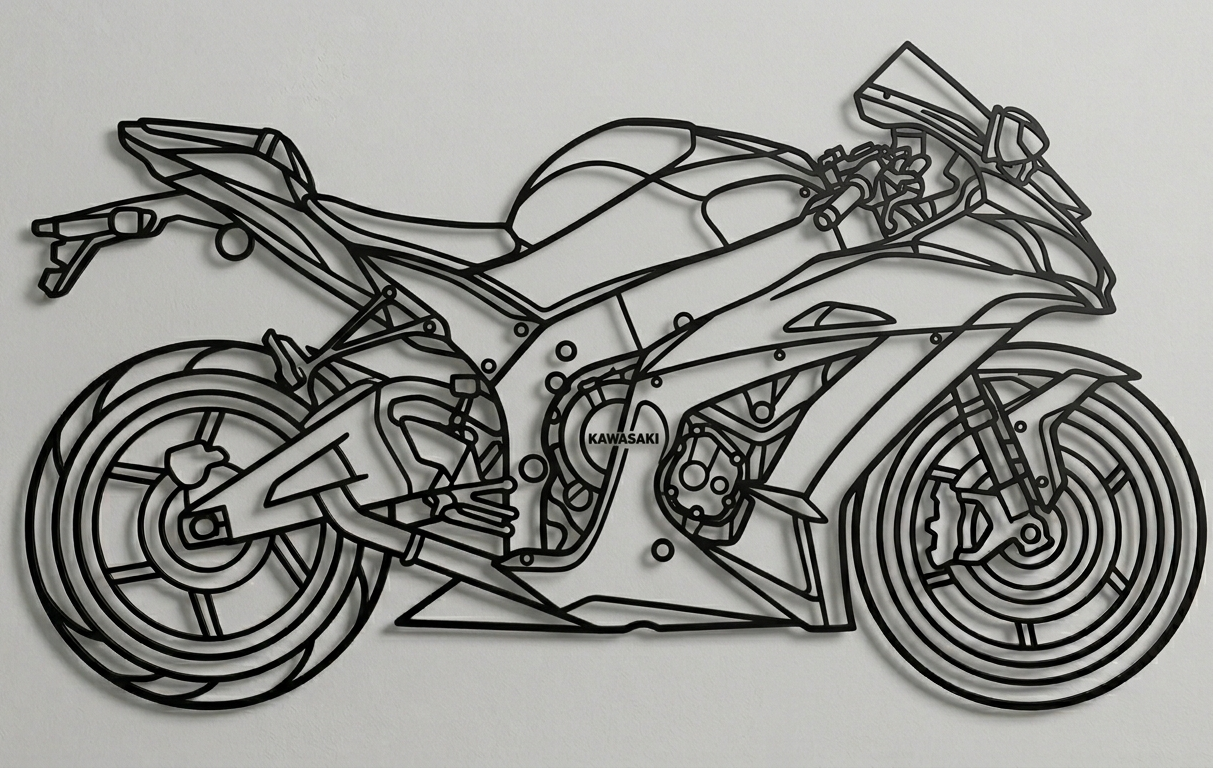 kawasaki 10 R 2016