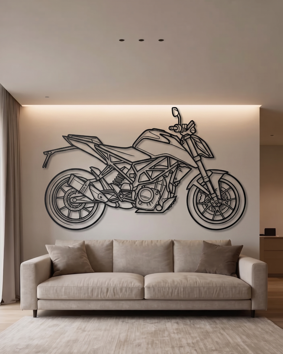 KTM Duke Series SIDE VIEW