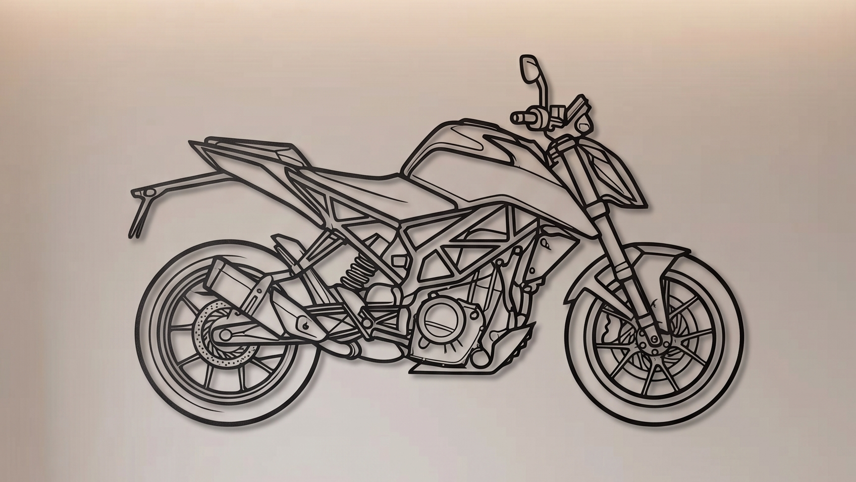 KTM Duke Series SIDE VIEW