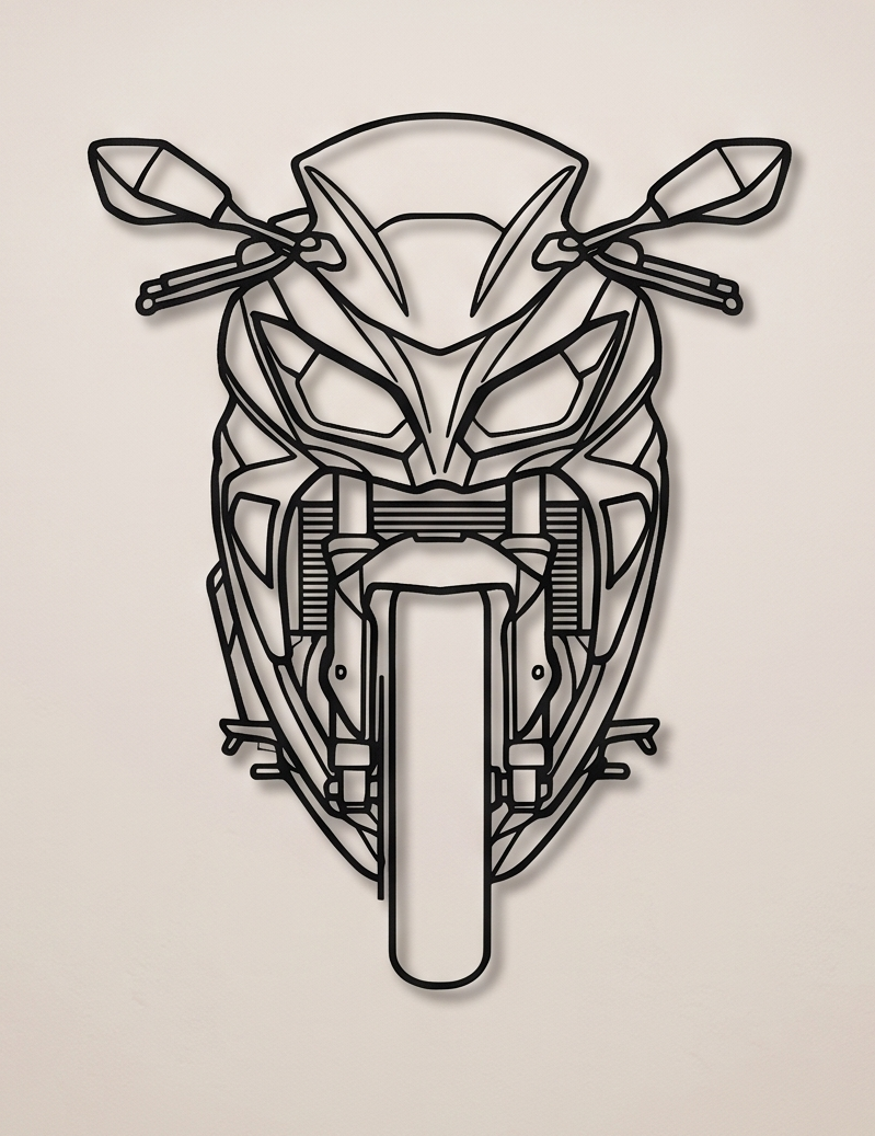 Ninja 300 FRONT VIEW